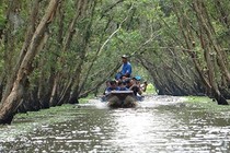 Những rừng tràm mùa nước nổi tuyệt đẹp níu chân bạn trẻ